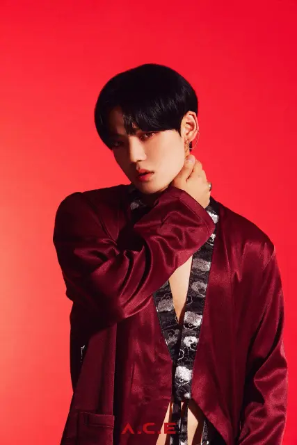 chan a c e 1107915