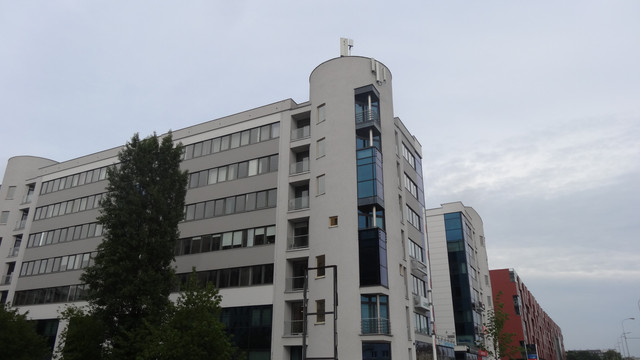 DSC02446