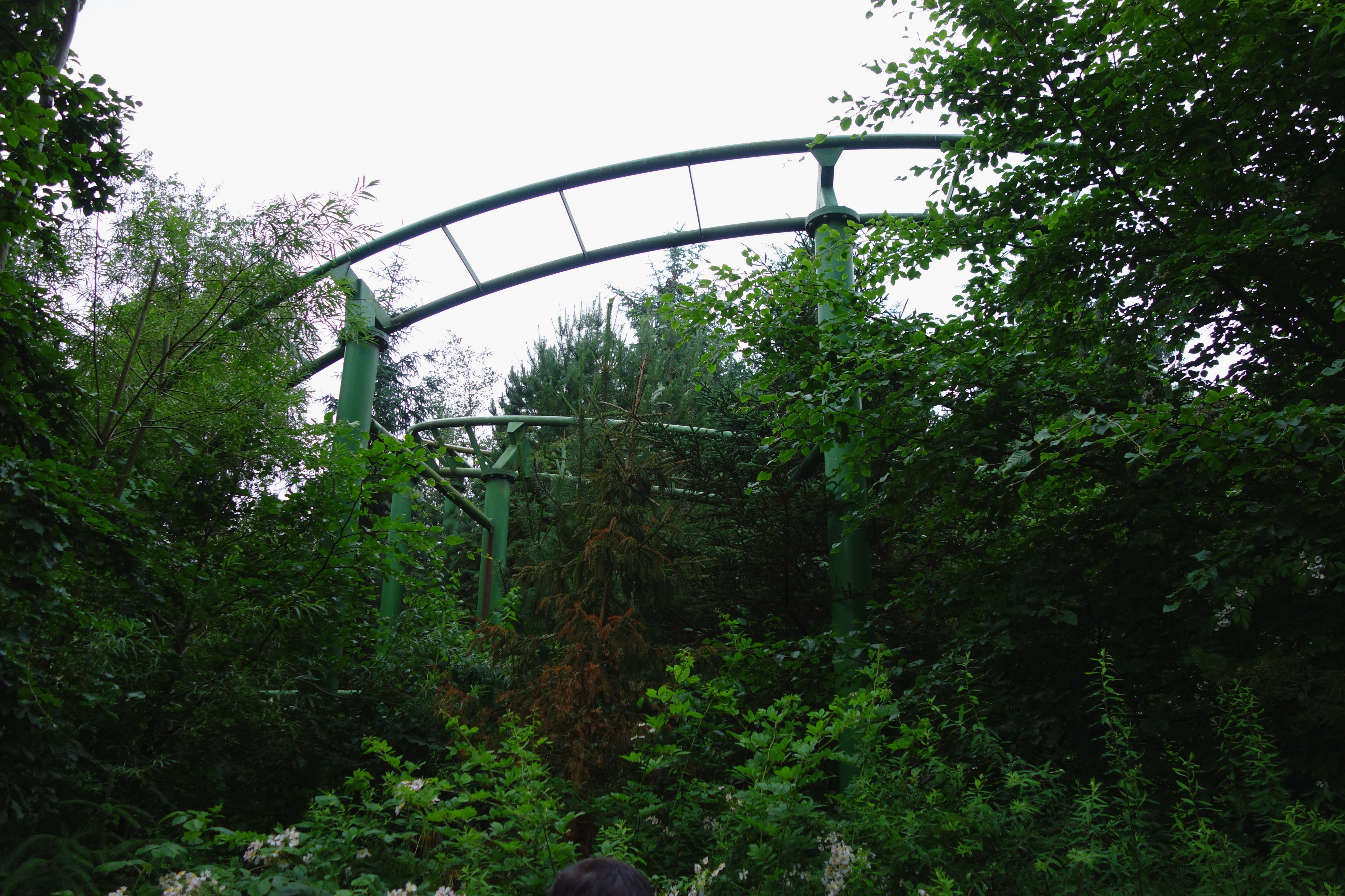 DSC09612