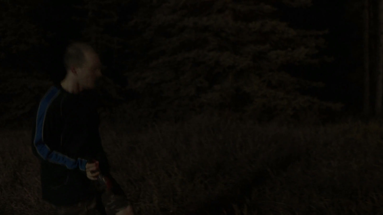 CAMP Screenshot