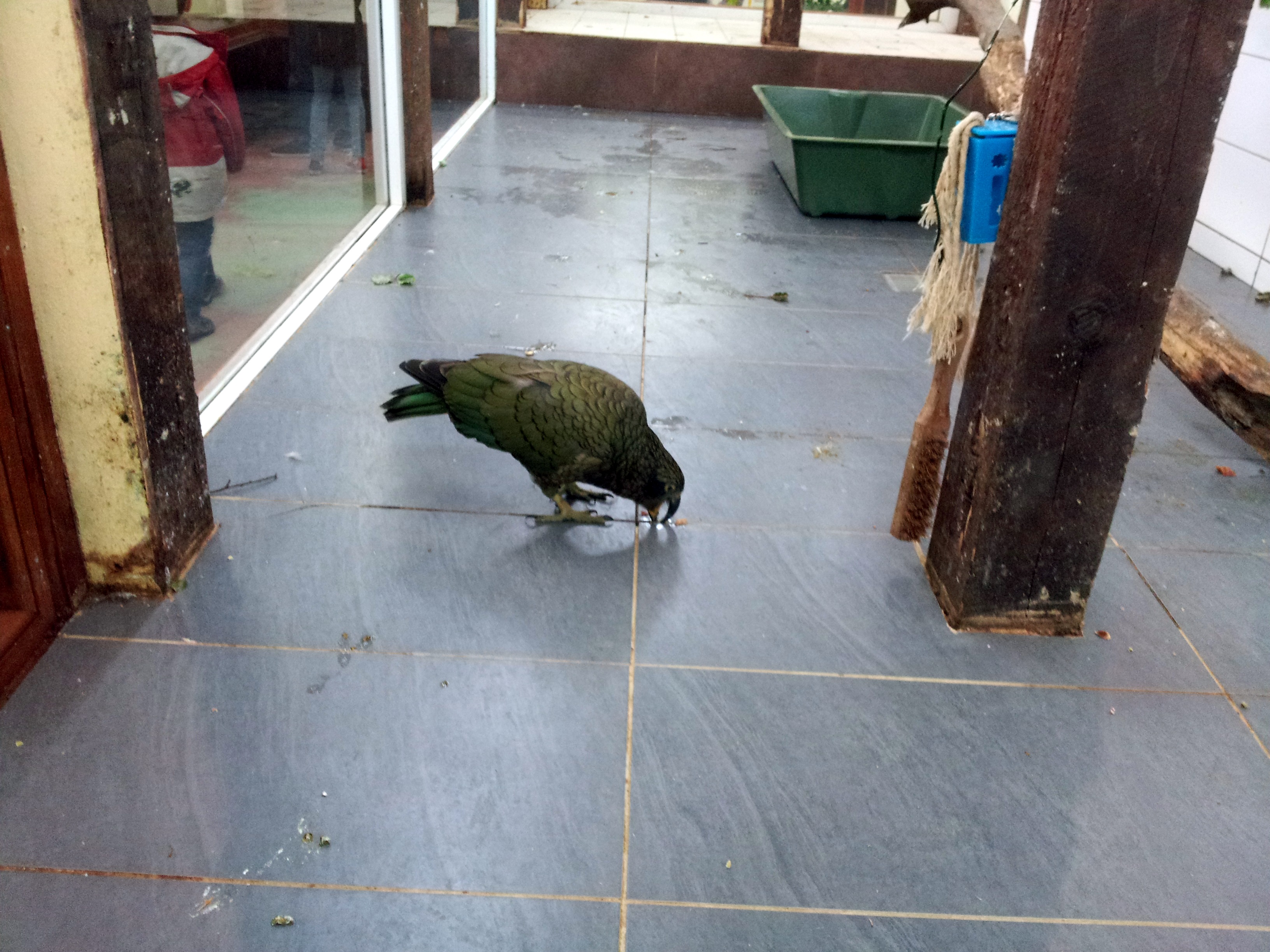 20140823 150303