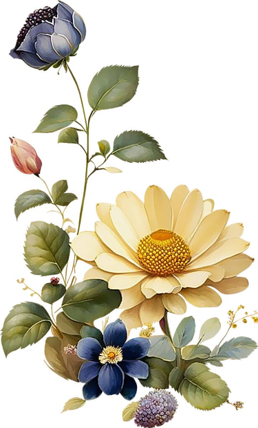 8f9593a446643c3accde3e6eea9fc229.png