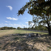 IMG 8158