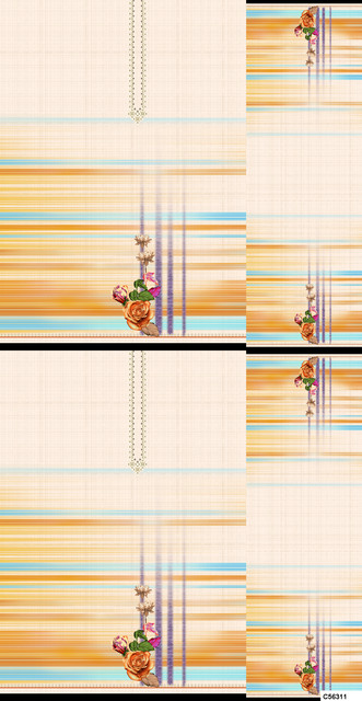 C56311 PP.jpg
