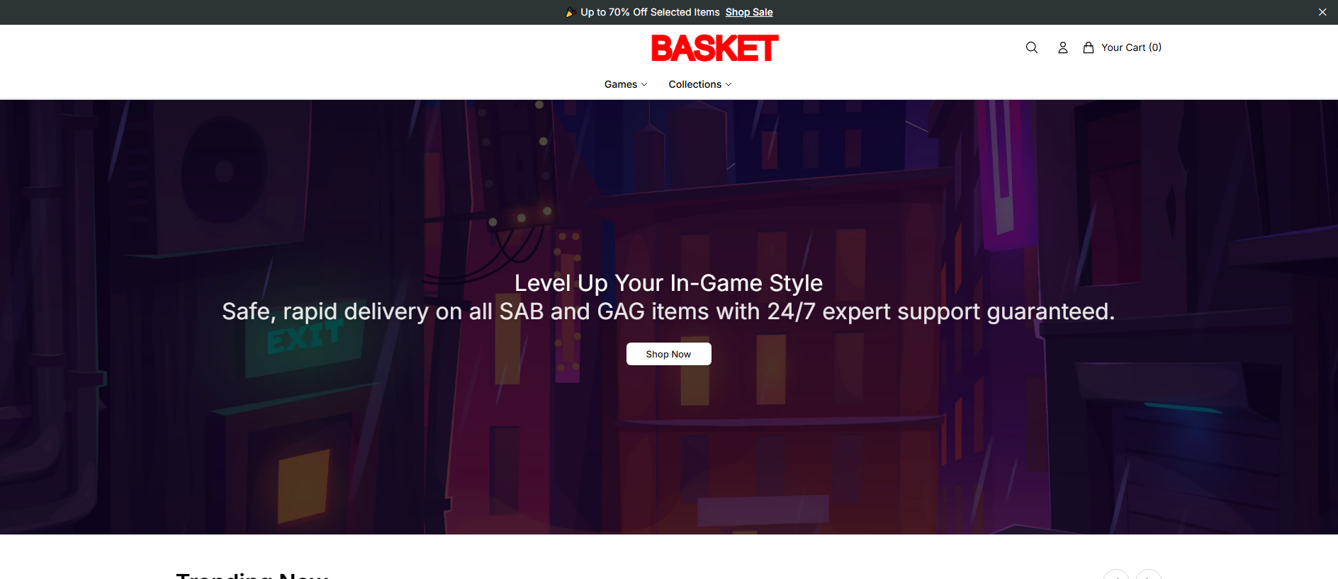 Primary capture · bloxbasketselect.shop