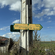 IMG 0258