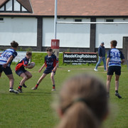 DSC 0519
