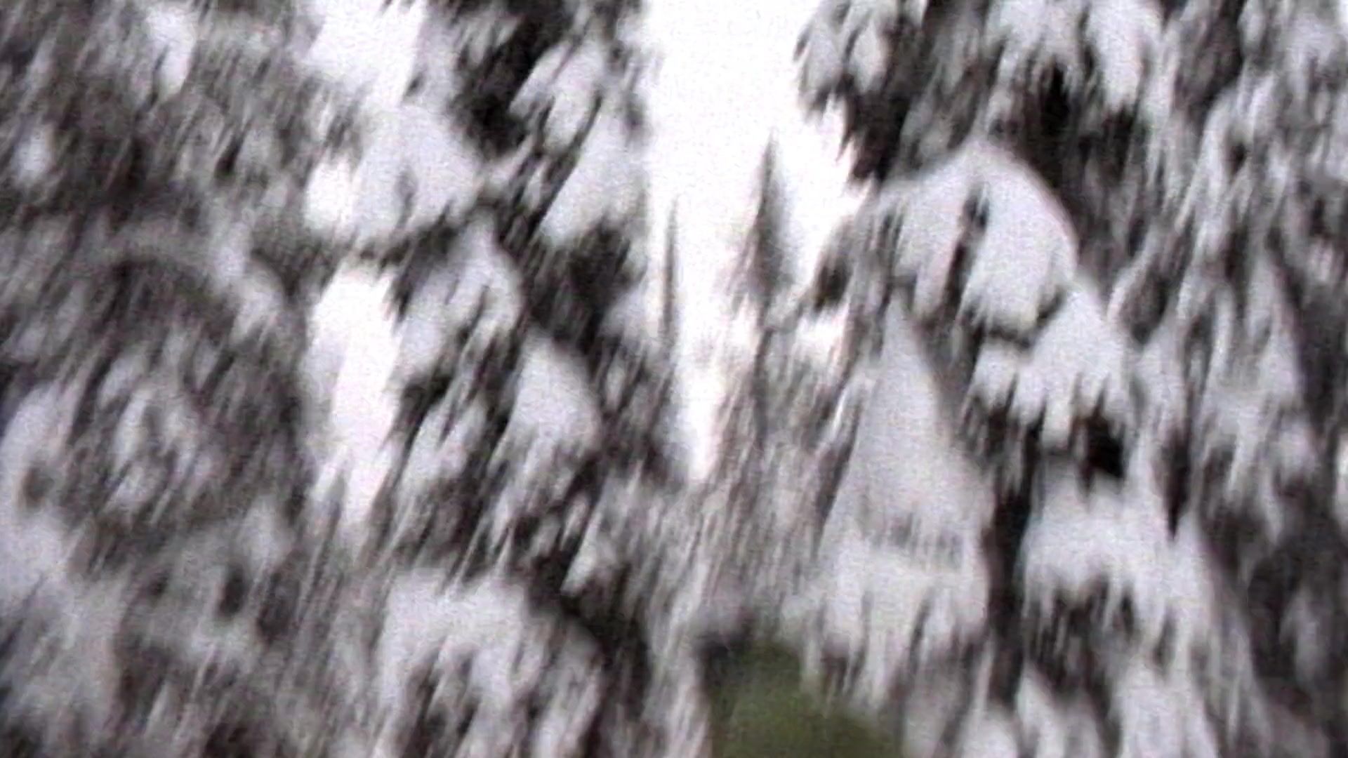 Movie cover image
