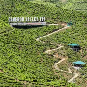 Cameron Valley3