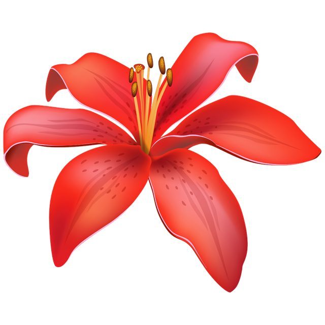 lily flower 02.png