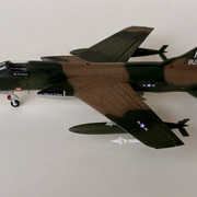 IMG-6372