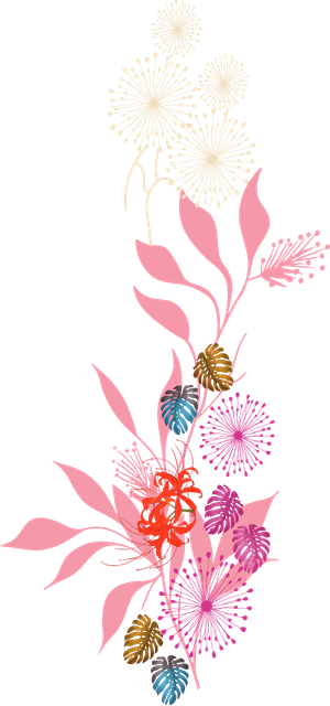 PNG.png