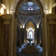 Parque e Palácio de Monserrate (22)