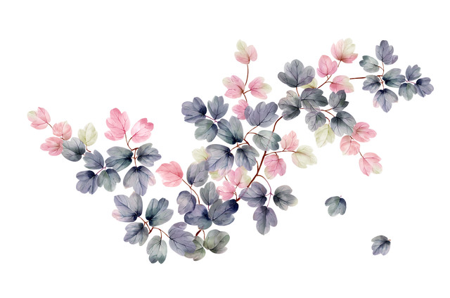 shutterstock 755315644.jpg