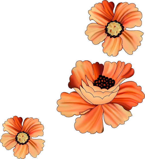 cc18dcd7a6802132d091597aaaa778c1.png