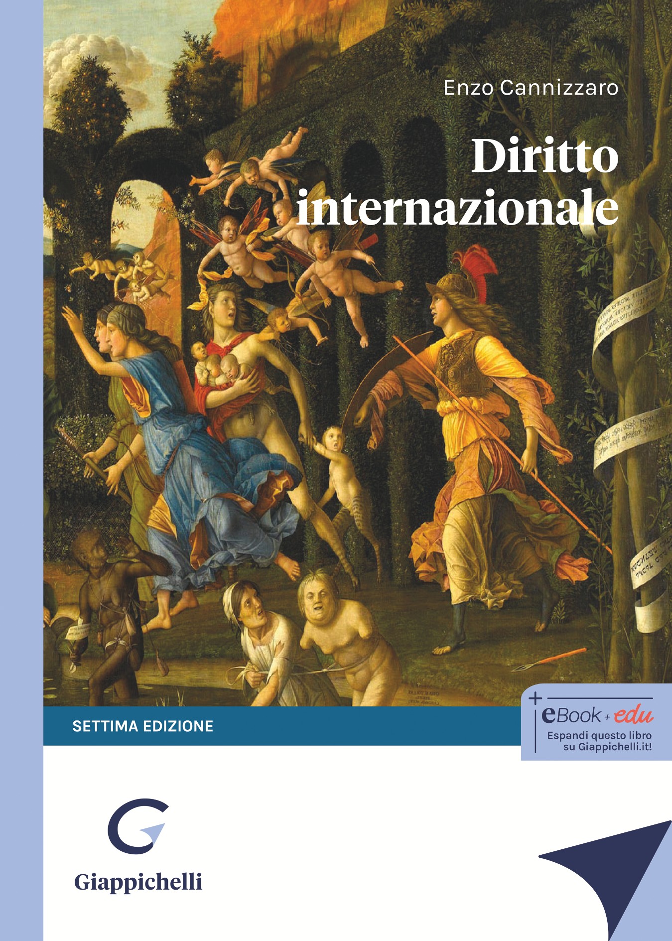 Diritto Internazionale