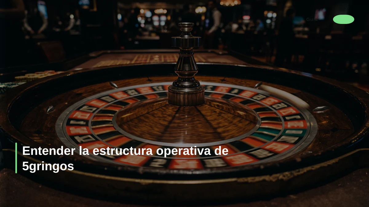 Entender la estructura operativa de 5gringos