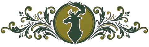 G5w-UQNP.png