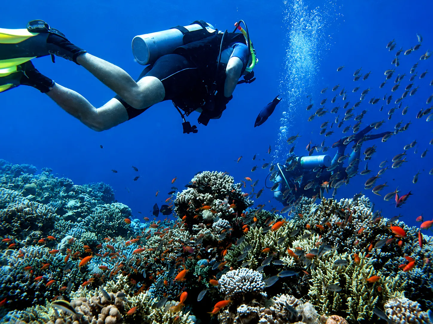 Hula Hula Island Boat Trip with 1 Intro Dive Hurghada