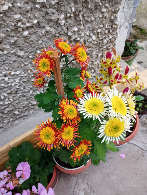 IMG-20251104-155503