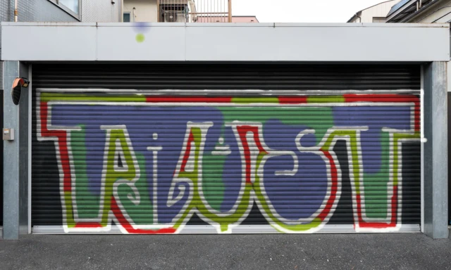 Graffiti artwork by taost