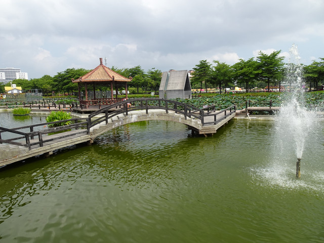 DSC00314.jpg