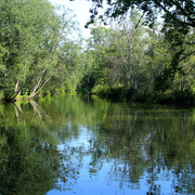 IMG-1714