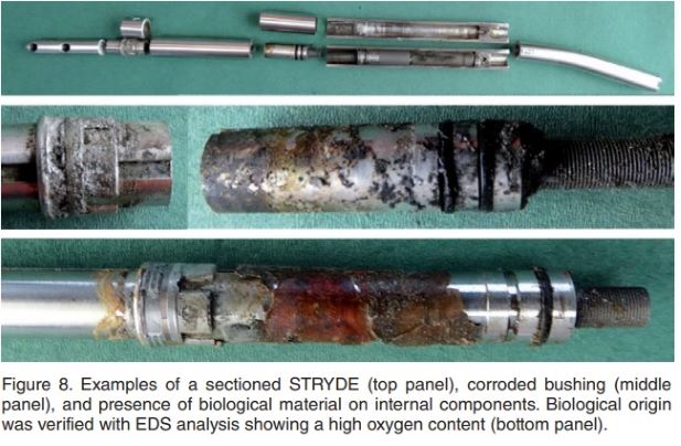 Stryde Nail corrosion