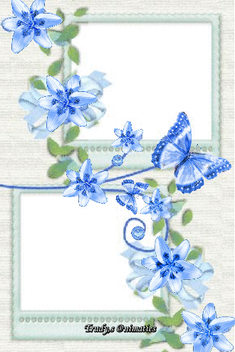 13.gif