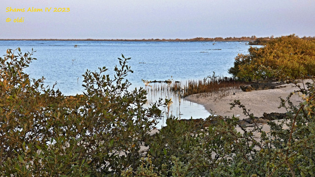 P1290089.jpg