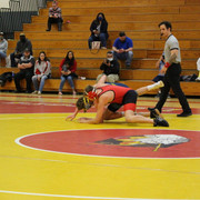 IMG-0733