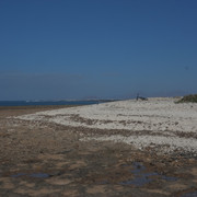 DSCF8368