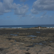 DSCF8282