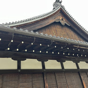 IMG-2799