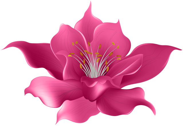 Pink-Flower-Transparent-Clip-Art-Image
