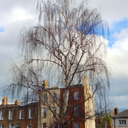 DSCF1458