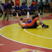 IMG-0181