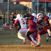 IMG-1610