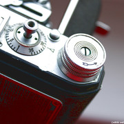 IMG-2095