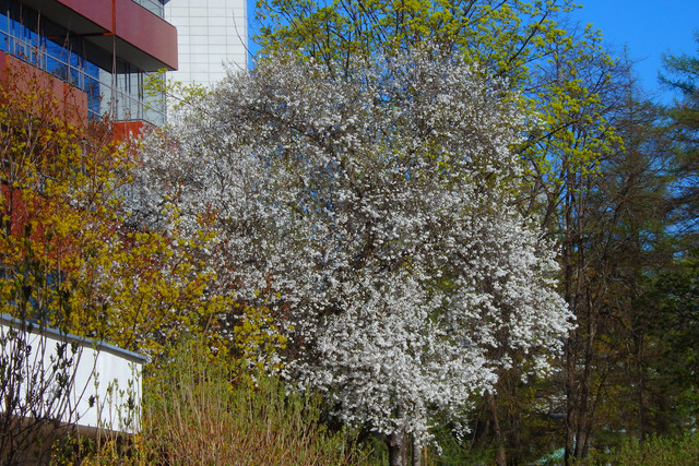 P5041491.jpg