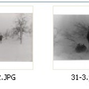 IMG-1003