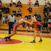 IMG-0245