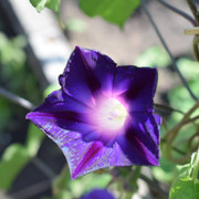 DSC-0550