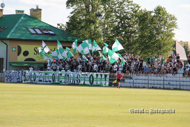 IMG-1413