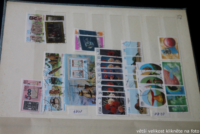 IMG-3512.jpg