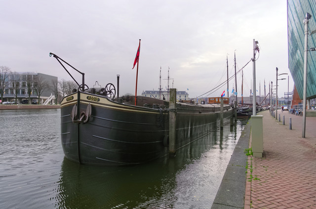 IMGP9295.jpg