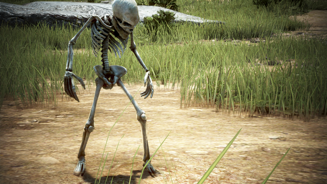 Skeleton-00