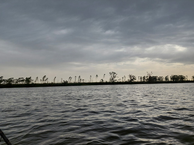 Dunav