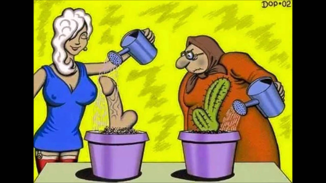 CHISTE 15 B