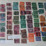 IMG-2054